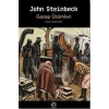 Gazap Üzümleri  John Steinbeck   İletişim