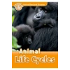 Animal Life Cycles Oxford
