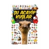 Şu Acayip Kuşlar Uğurböceği