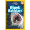 Köpek Balıkları Beta Kıds