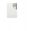 Max Profesyonel Tuval 35X50