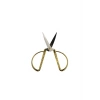 Bruno Visconti Gold Cut 15 Cm Güçlendirilmiş Makas 60-0045