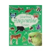 Çıkartmalı Hayvanlar Kitabım      Civciv