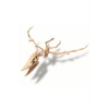 4M 13238 Pterosaur Skeleton Excavatıon