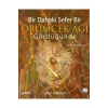 Bir Dahaki Sefer Bir Örümcek Ağı Gördüğünde