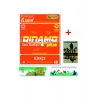Tonguç 6.Sınıf Dinamo Türkçe Soru Bankası Plus