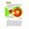 Popüler Bilim Evren Dizisi 5 Kitap Set-Timaş