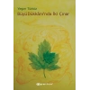 Büyü Dükkanında İki Çınar  Yeşim Türköz