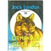 Ormandan Gelen Ses - Altın Kitap
