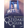 Çatıdaki Çığlık / V. C. Andrws Altın Kitap