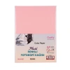 Masis Renkli Fotokopi Kağıdı Pembe Fk100-P