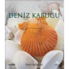 Bir Dahaki Sefer Bir Deniz Kabuğu Gördüğünde