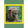 Afrikadaki Hayvanlar Benim Hayvan Arkadaşlarım
