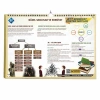 Ayt Edebiyat Poster Notlar Kr Akademi