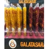 Galatasaray Versatil Kalem Metal Touch 0.7 Mm 605451