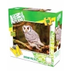 Ks Games Puzzle 100 Bengal Eagle Owl