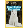 Kuzey Kutbu Hayvanları Jennifer Szymanski Beta Kids