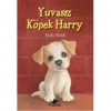 Yuvasiz Köpek Harry Pegasus