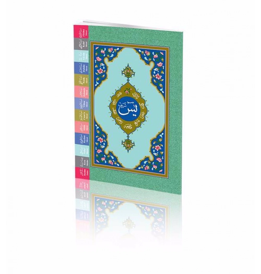 Hayrat Renkli Yasin Cüzü Hafız Boy Fihristli Ys0020