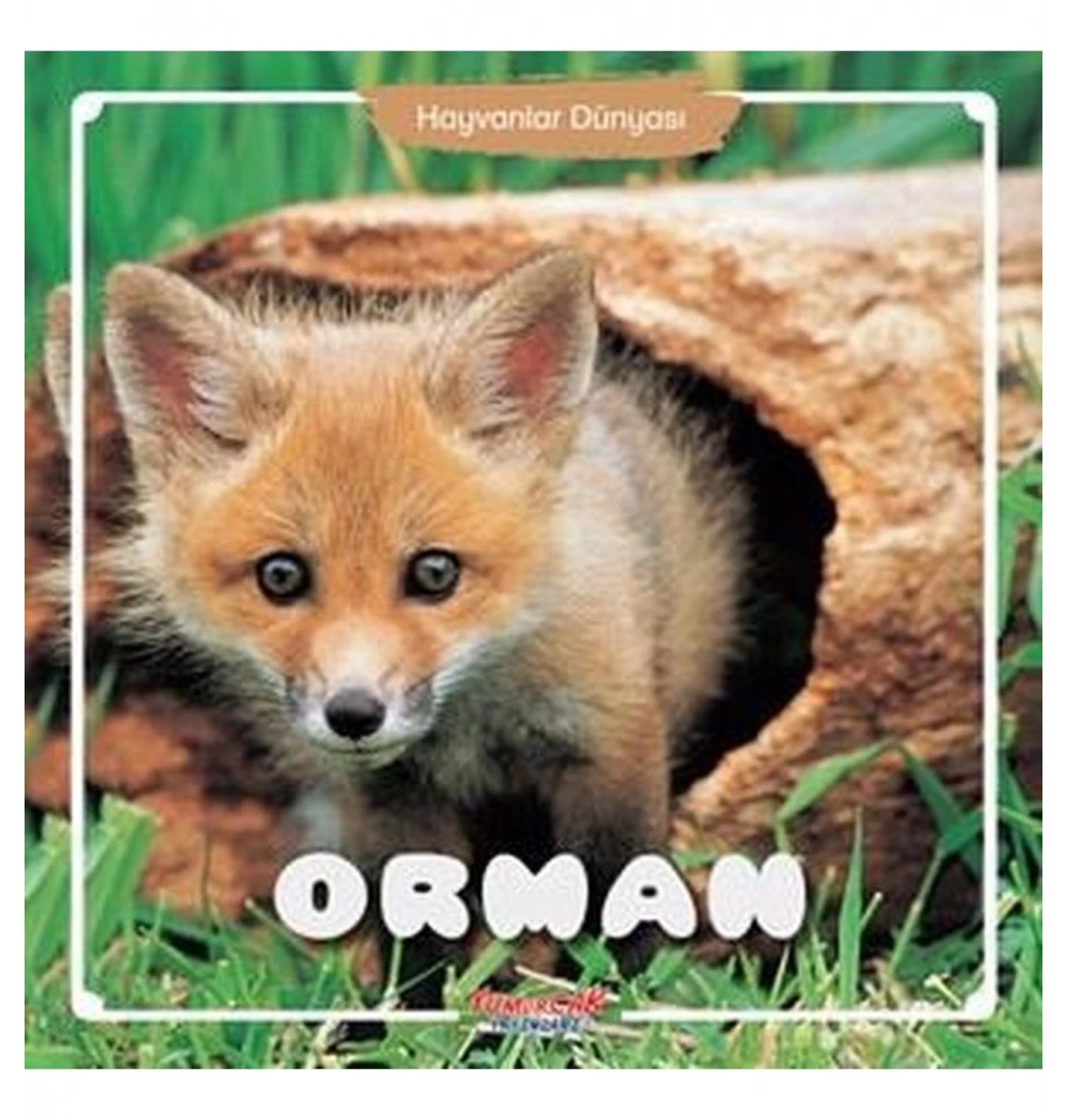 Orman  Hayvanlar Dünyası  Yumurcak