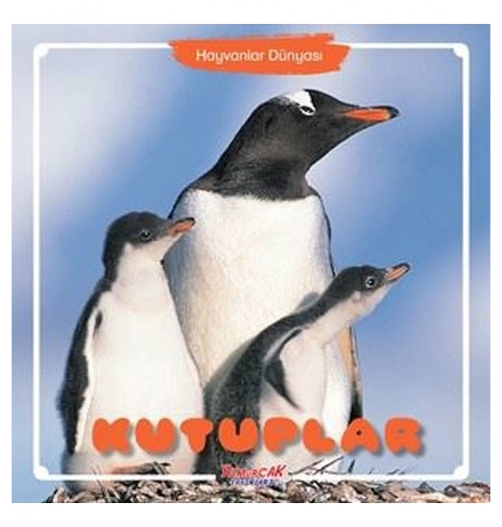 Kutuplar Dünyası  Yumurcak