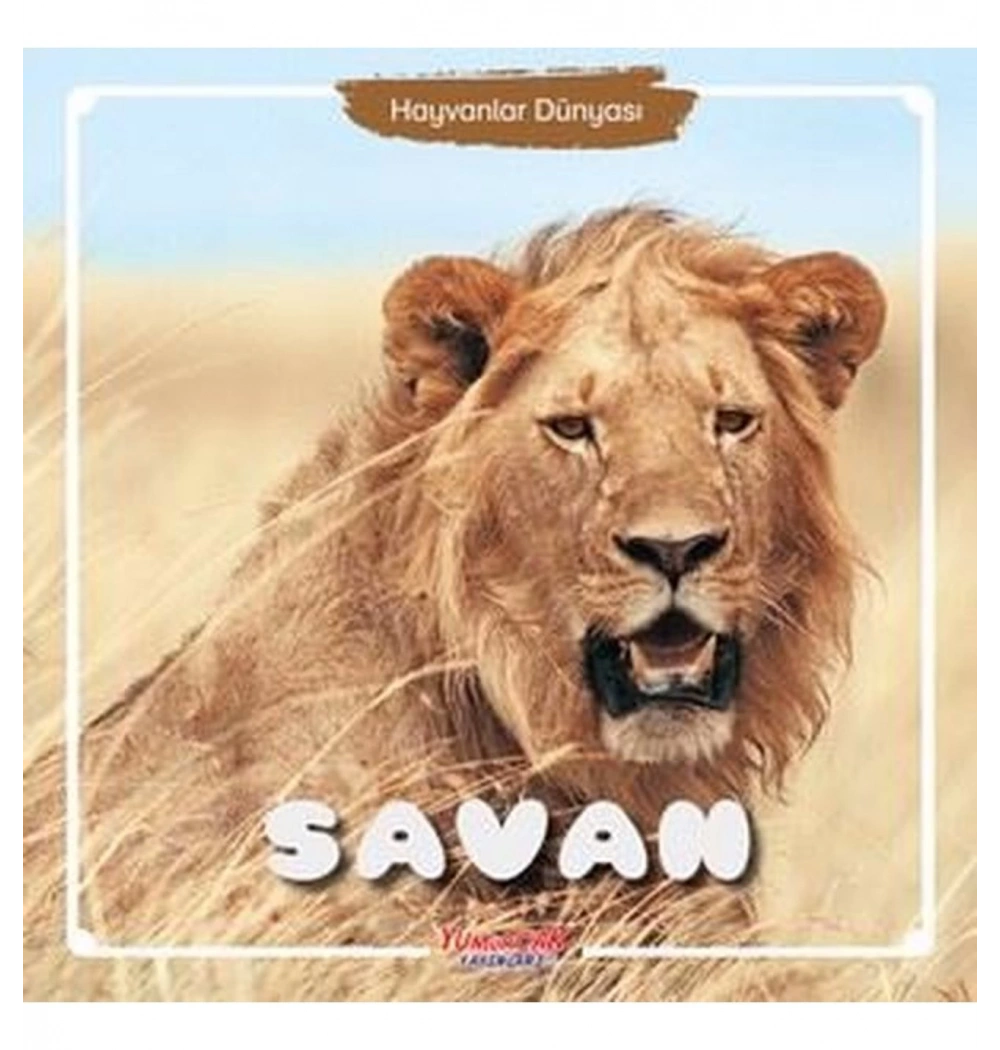 Savan Hayvanlar Dünyası Yumurcak
