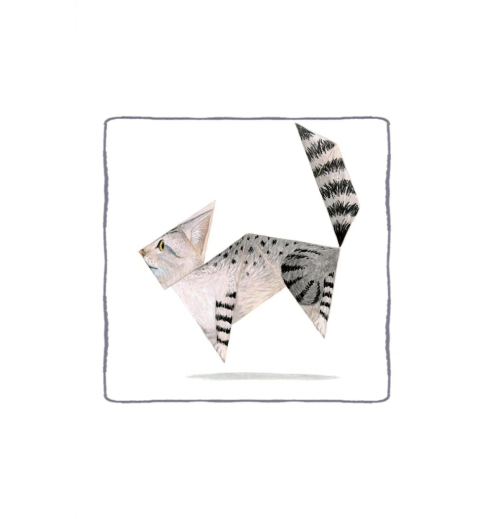 Tangram Kedi Kva Çocuk