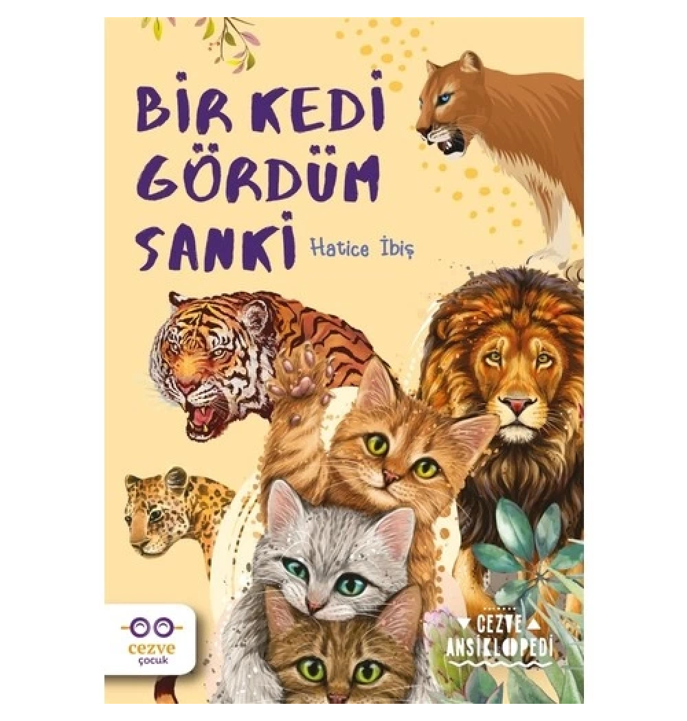 Bir Kedi Gördüm Sanki  Hatice İbiş  Cezve Çocuk