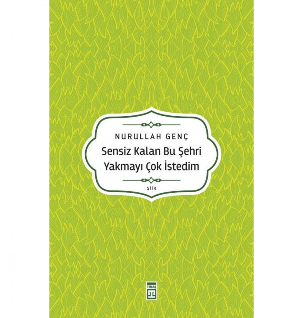 Sensiz Kalan Bu Şehri Yakmayı Çok İstedim Nurullah Genç
