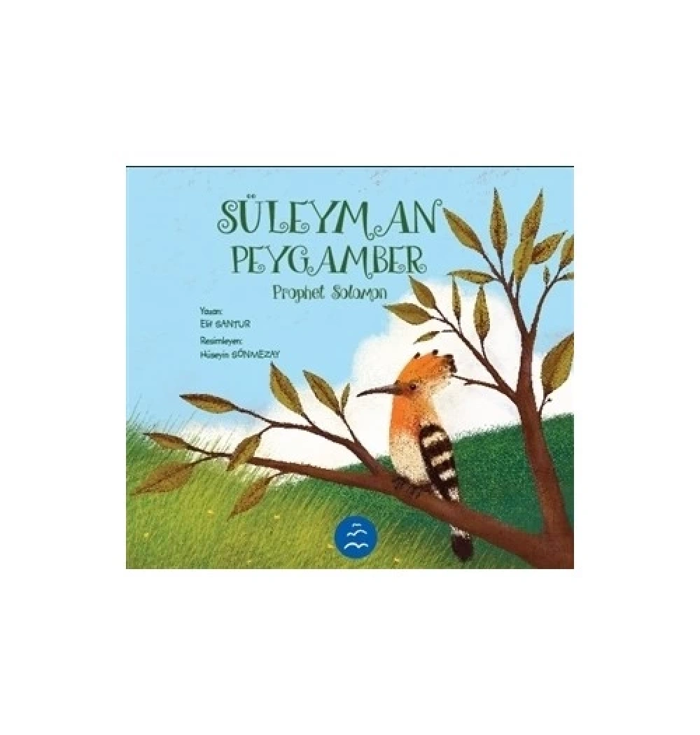 Süleyman Peygamber  Multibem