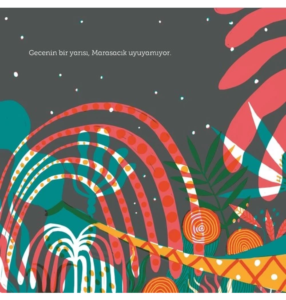 Uykusuz Her Gece   Doğan Çocuk