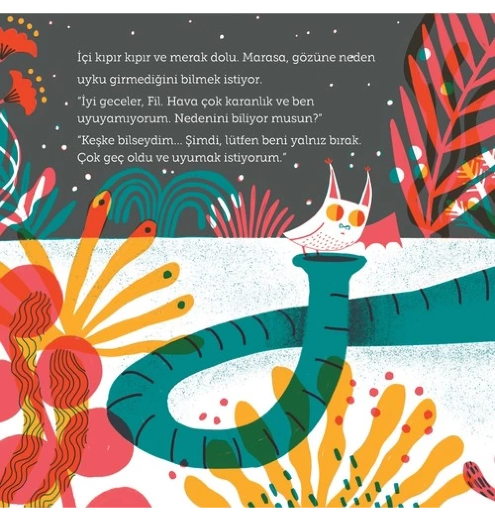 Uykusuz Her Gece   Doğan Çocuk