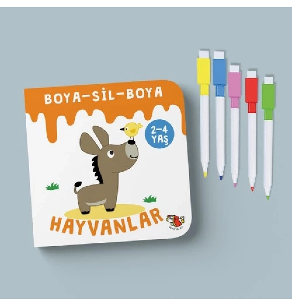 Boya Sil Boya 4 Kitap Mini Set  Uçan Kitap