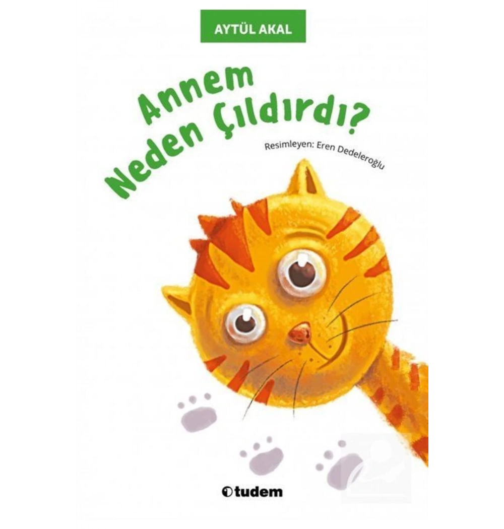 Annem Neden Çıldırdı  Aytül Akal Tudem