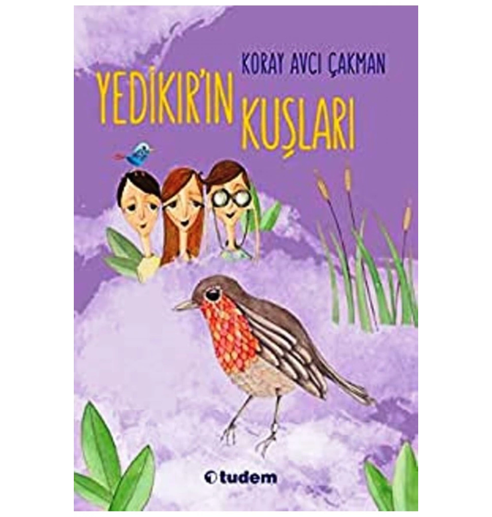 Yedikırın Kuşları     Tudem