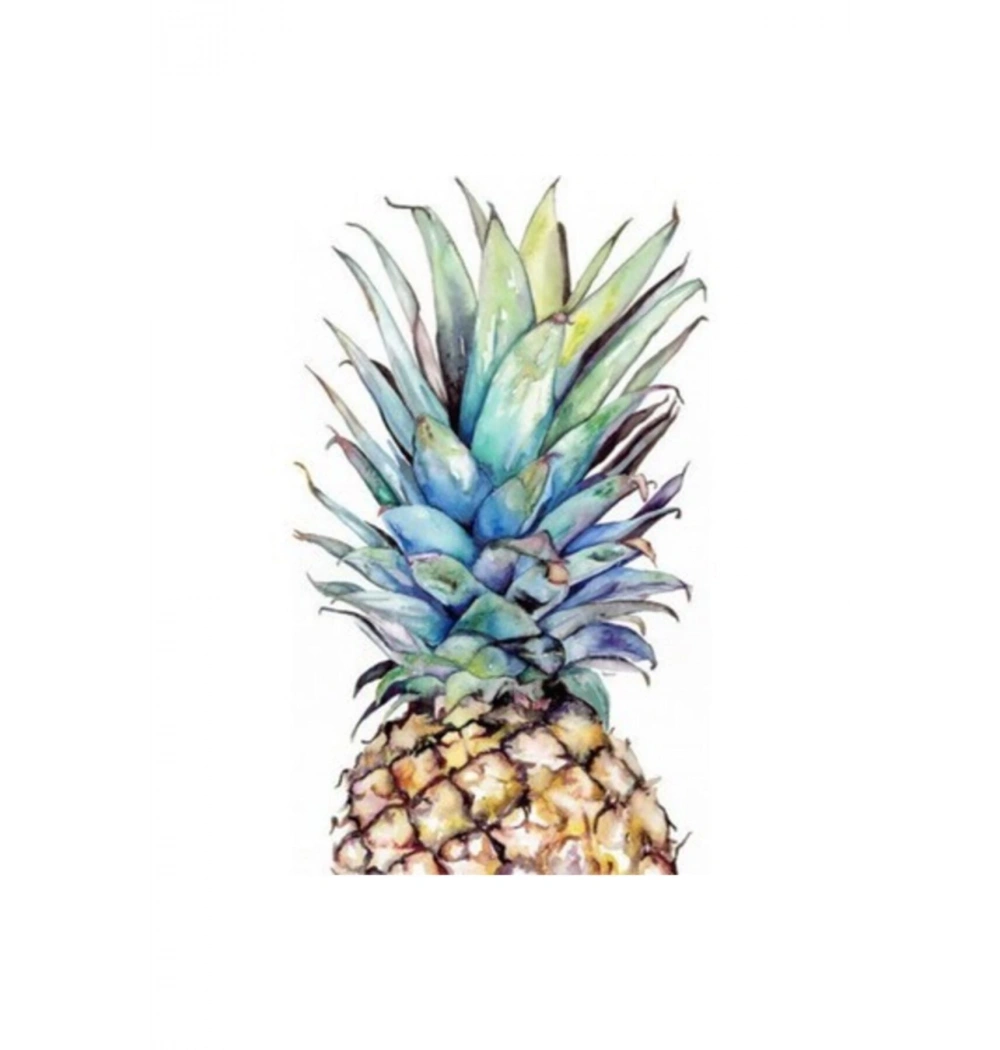Sayılarla Boyama Seti 30X40 Cm Tuval  Ananas