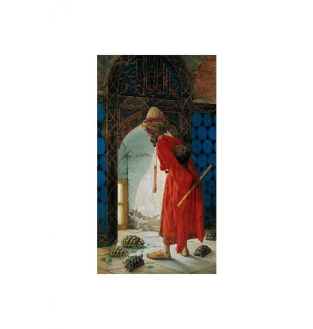 Sayılarla Boyama Seti 30X40 Cm Tuval  Kaplumbağa Terbiyecisi