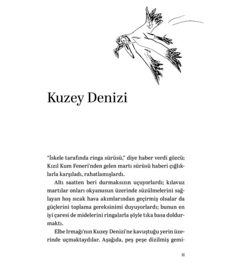 Martıya Uçmayı Öğreten Kedi M.Sepulveda Can Yayınları