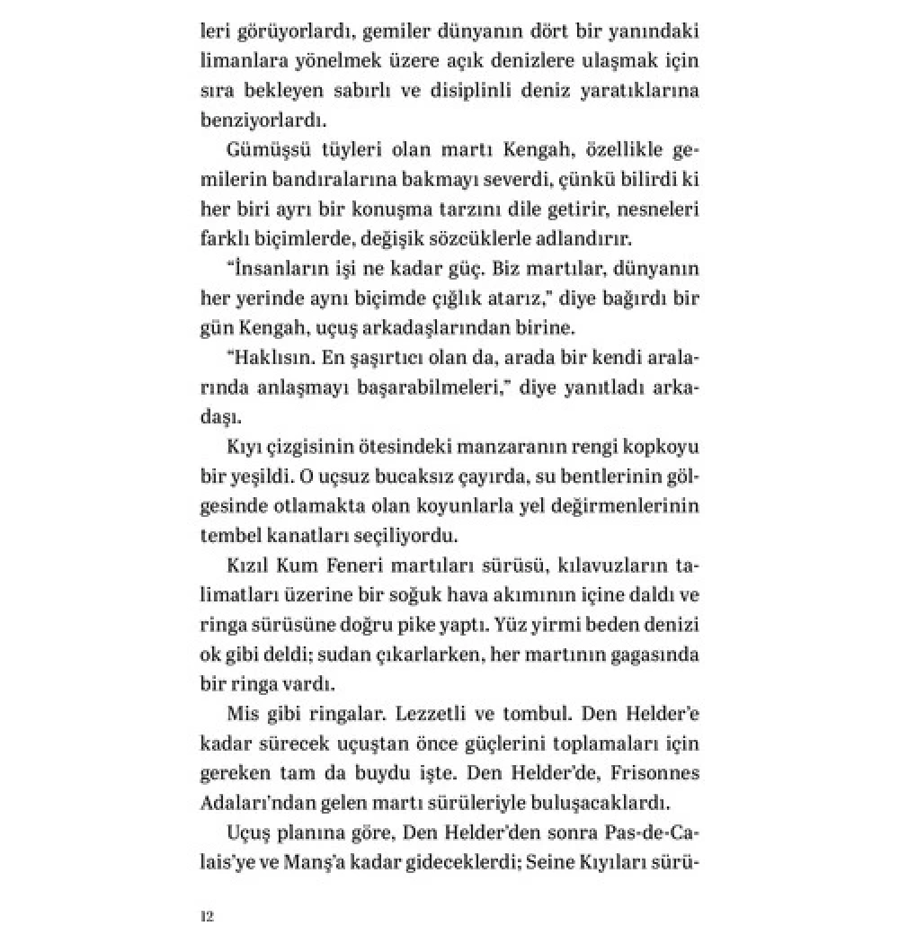 Martıya Uçmayı Öğreten Kedi M.Sepulveda Can Yayınları