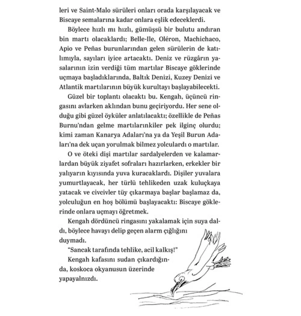 Martıya Uçmayı Öğreten Kedi M.Sepulveda Can Yayınları