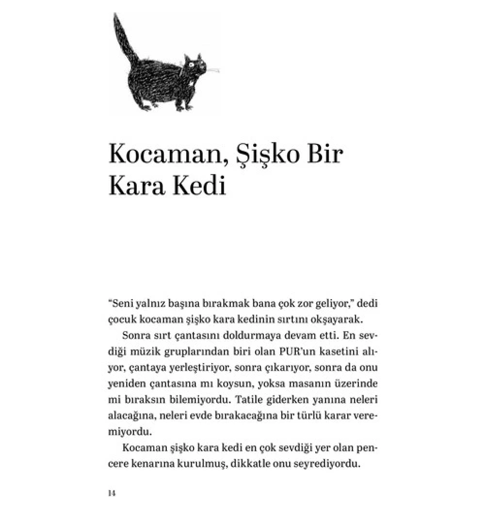 Martıya Uçmayı Öğreten Kedi M.Sepulveda Can Yayınları