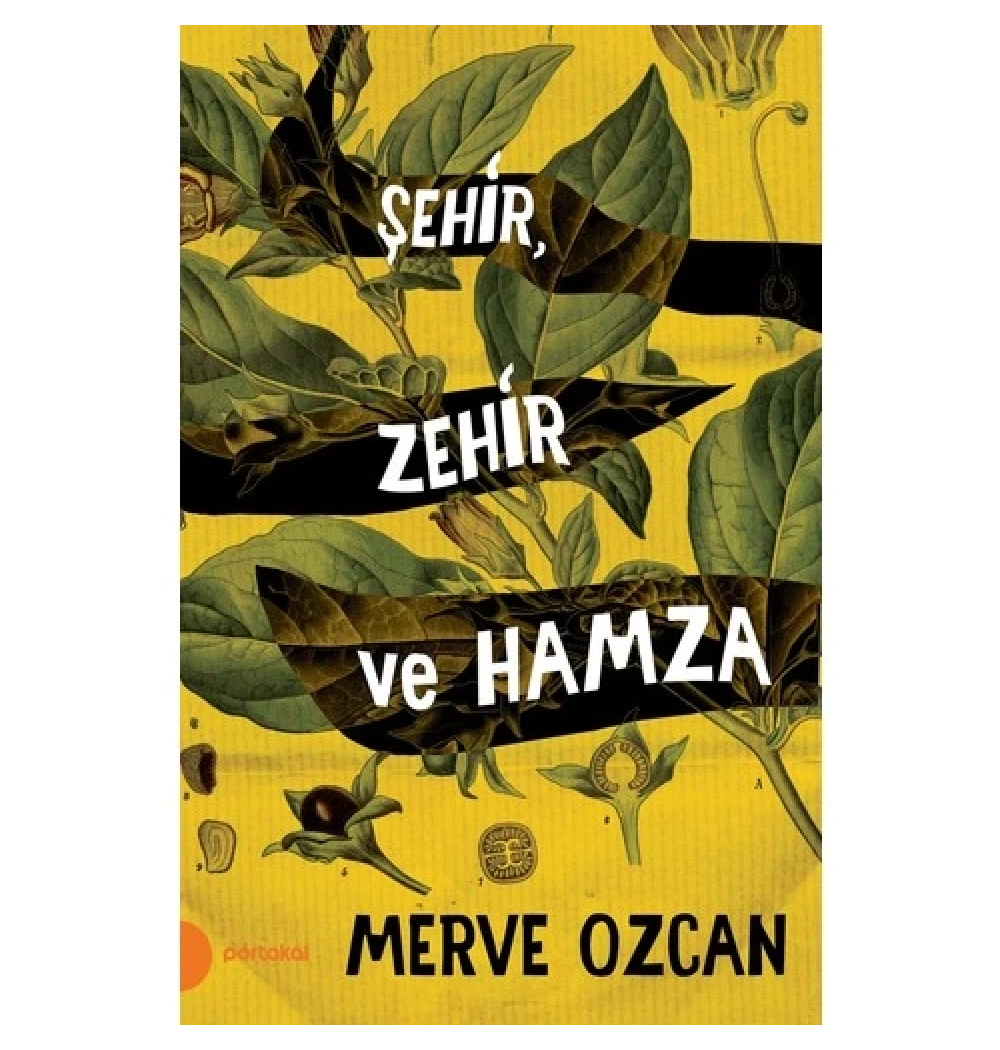 Şehir Zehir Ve Hamza Merve Özcan Portakal Kitap