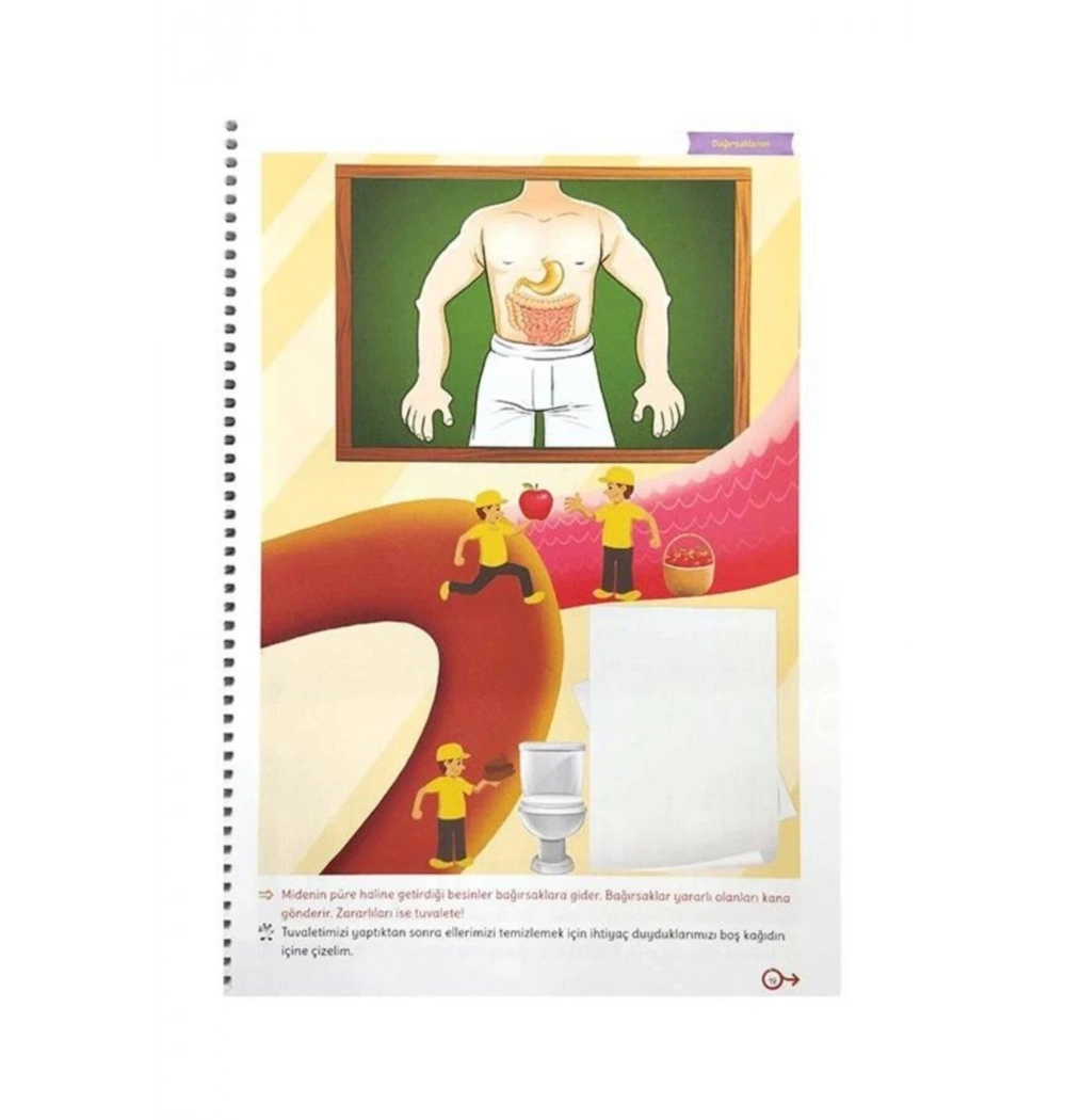 Bilim Dünyasını Keşfedelim Beyaz Pusula