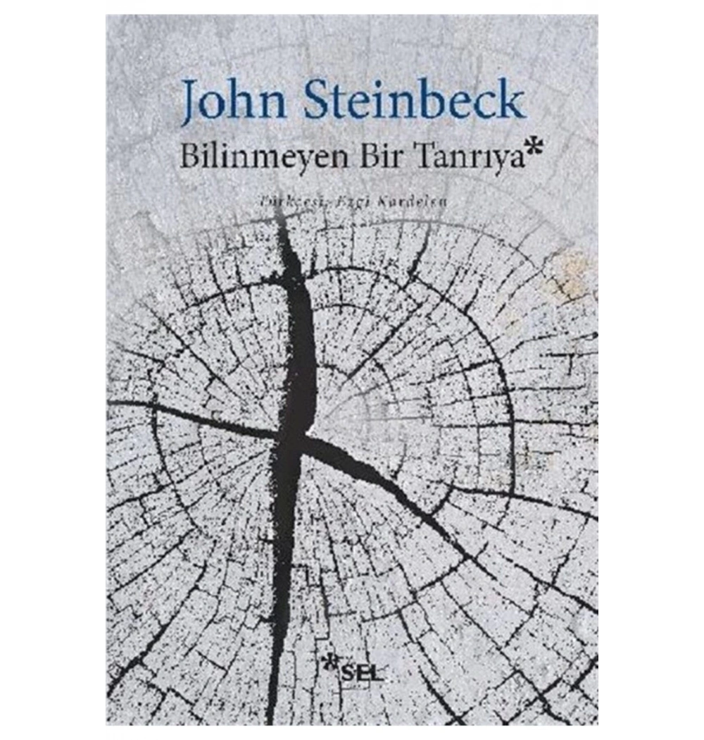 Bilinmeyen Bir Tanrıya John Steinbeck Sel
