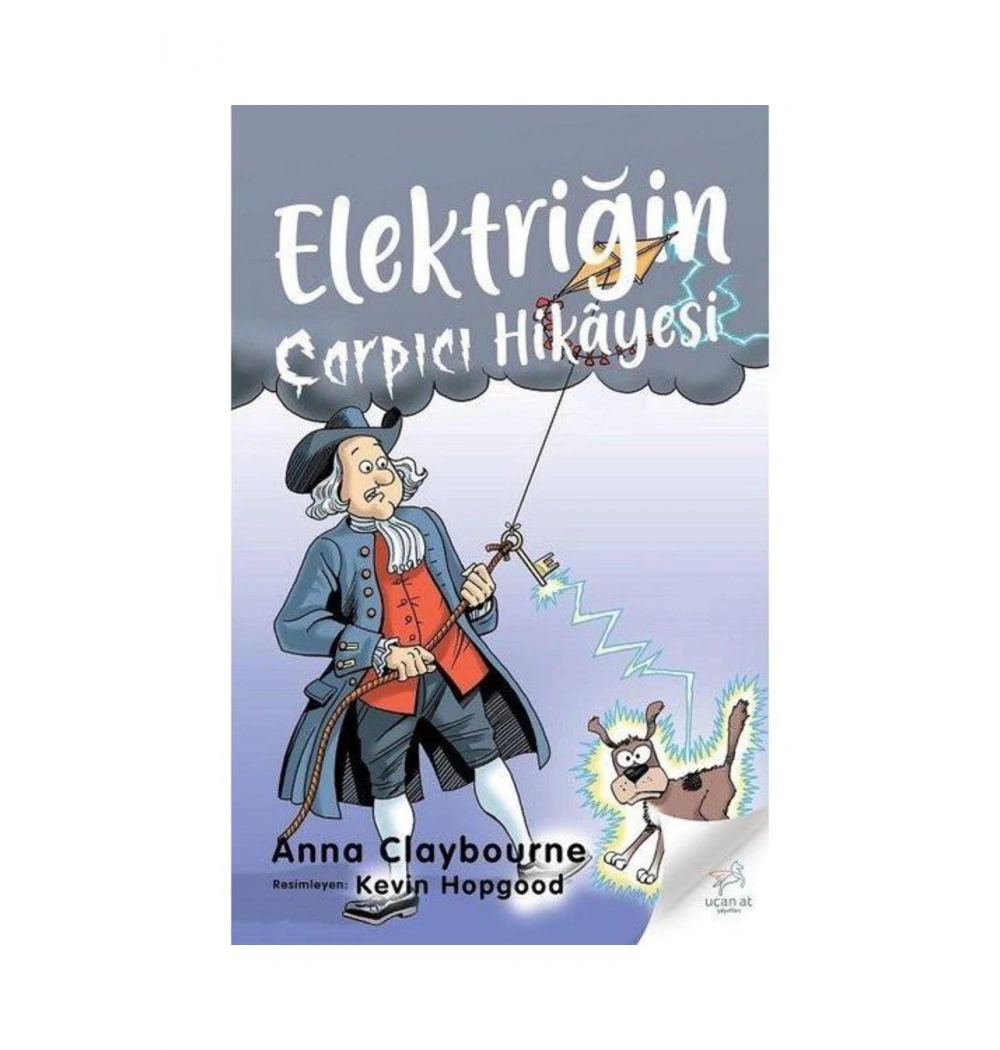 Elektriğin Çarpıcı Hikayesi Bilge Kültür
