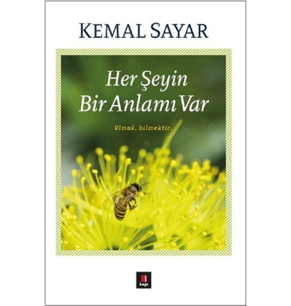 Herşeyin Bir Anlamı Var Kemal Sayar Kapı Yayınları