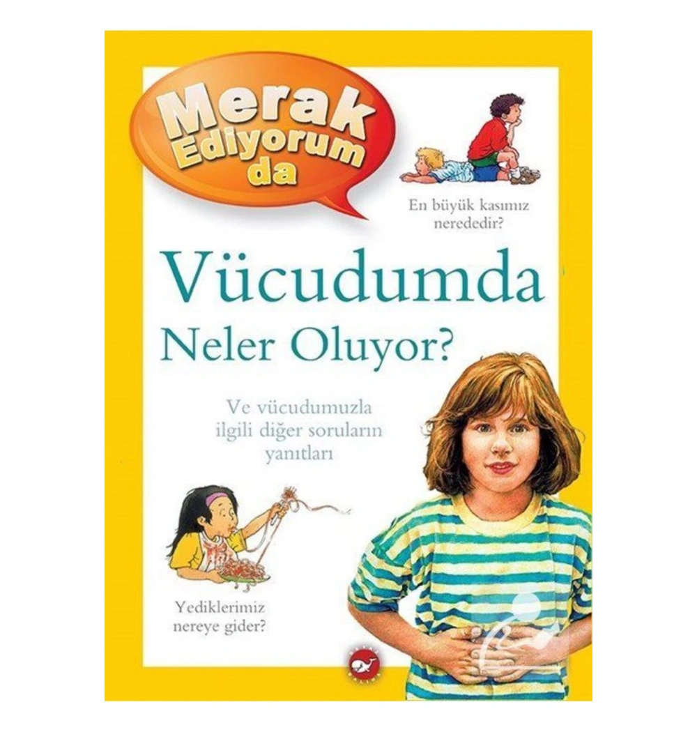 Merak Ediyorum Da Vücudumda Neler Oluyor ?   Beyaz  Balina