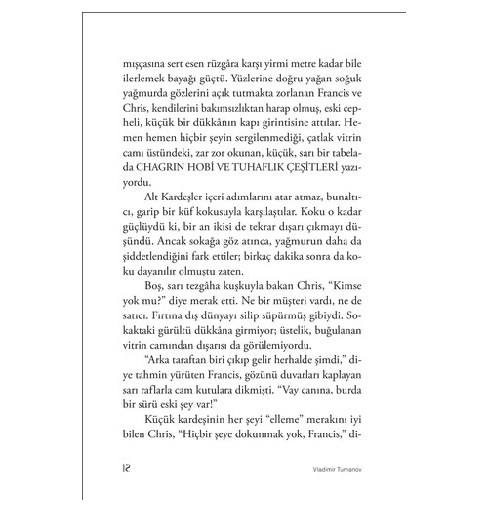 Haritada Kaybolmak   Vladimir Tumanov   Günışığı