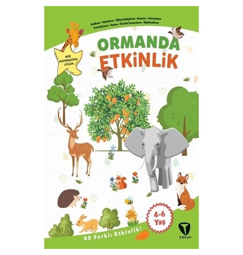 Ormanda 40 Etkinlik 4-6 Yaş Kodlama Eşleştirme Dikkat Geliştirme Turkuvaz