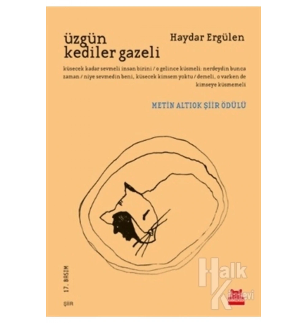 Üzgün Kediler Gazeli   Haydar Ergülen  Kırmızı Kedi